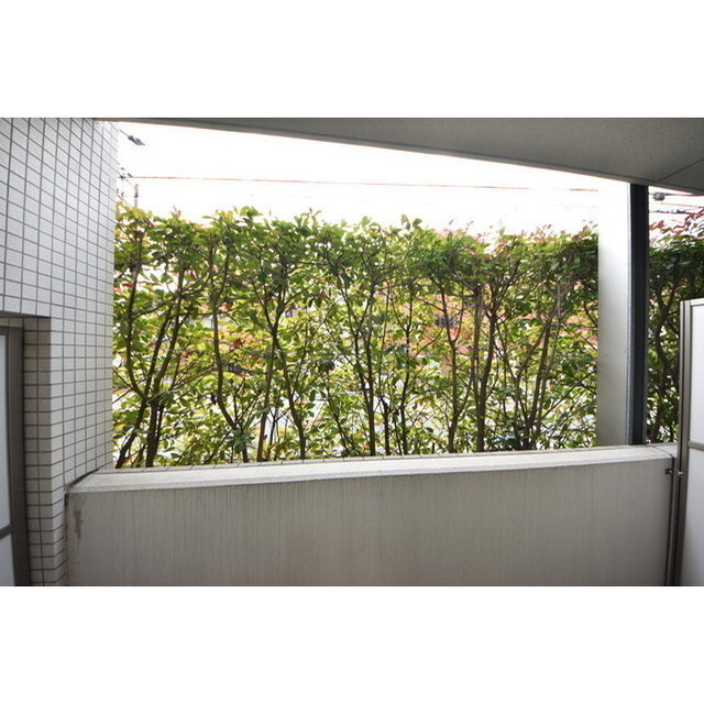 Court Blanche0102号室 内観