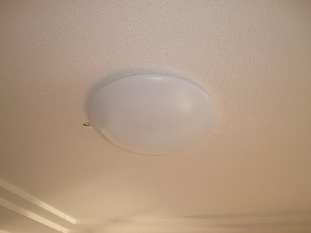 ヴィアーレ・ガーナ103号室 照明