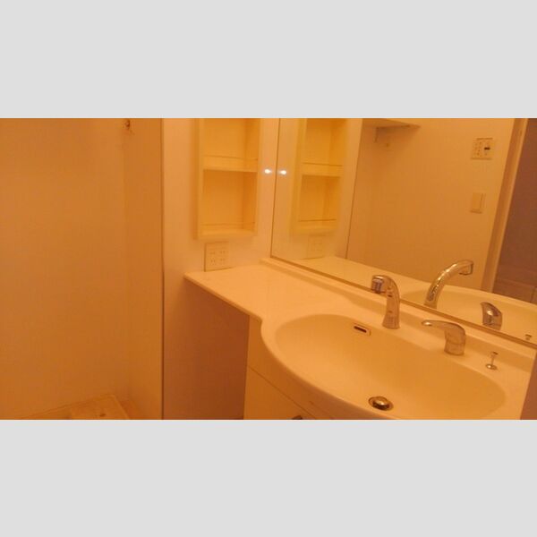 ラ・プランタン北野203号室 洗面室