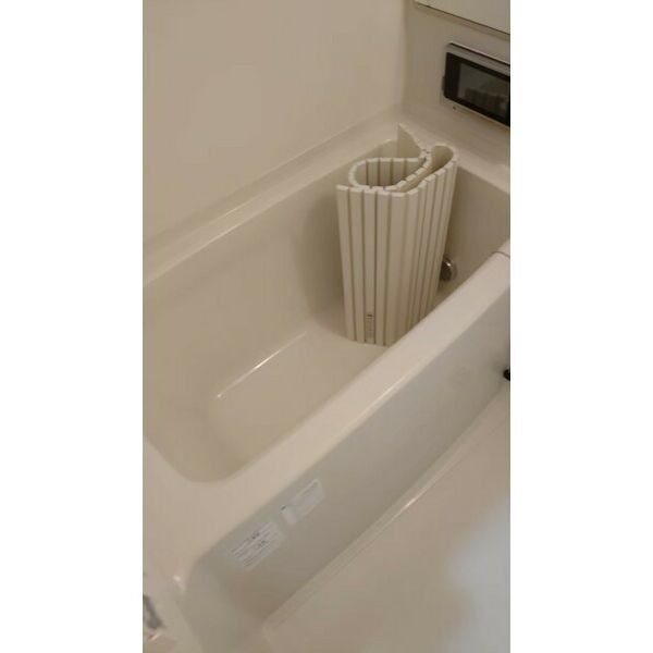 パークヴィスタ日本橋浜町302号室 部屋その他