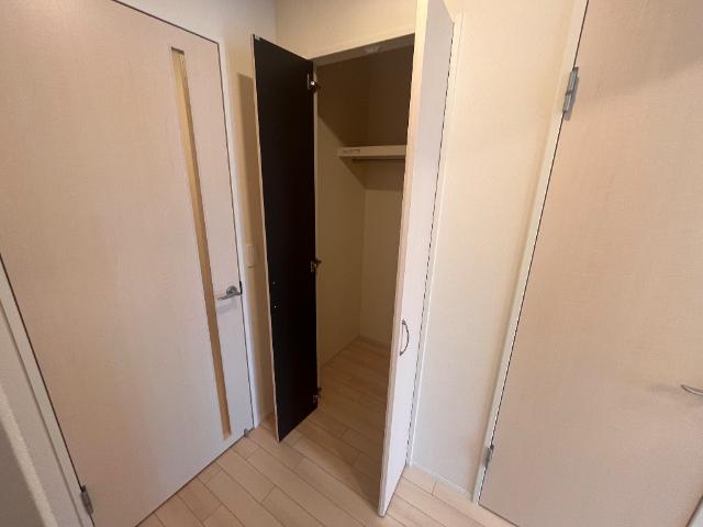 ｃａｓａ　ｓｅｒｅｎａ（カーサ　セレーナ）102号室 リビングクローゼット