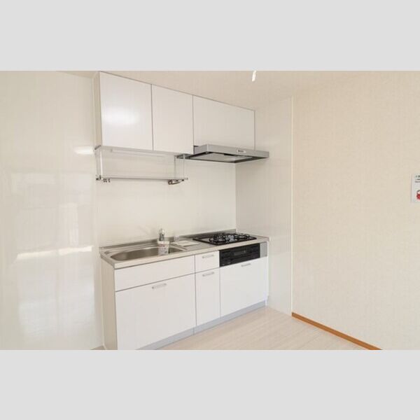 ロイヤルガーデン　B102号室 システムキッチン