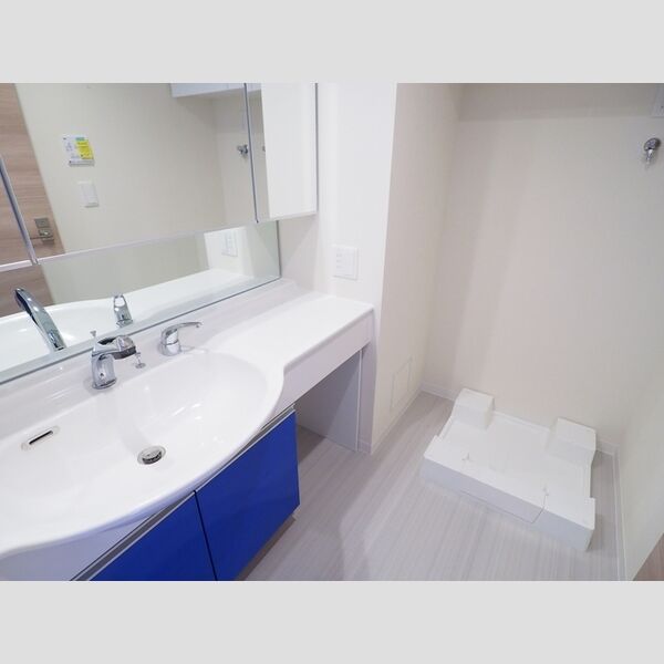 ロイジェントパークス千葉中央0712号室 洗面化粧台・洗濯機置き場