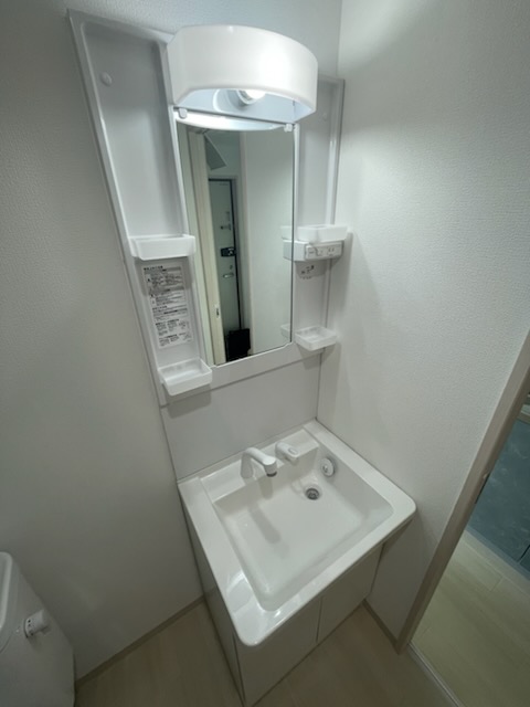 ブリーズ東船橋0202号室 洗面
