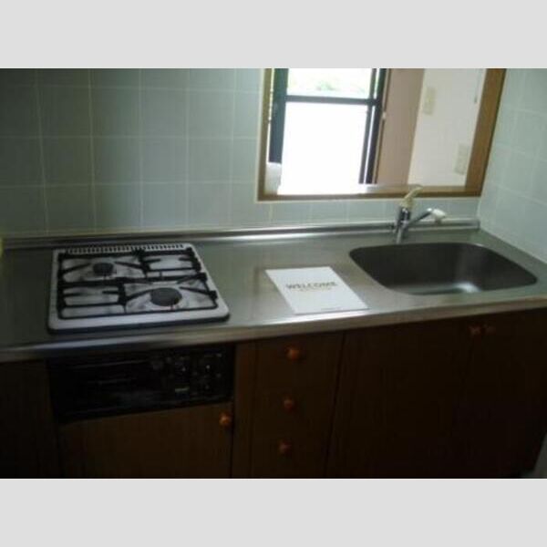 フラワーハウス201号室 フラワーハウスシステムキッチン