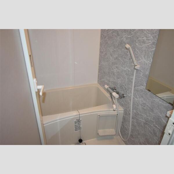 S-RESIDENCE新御徒町East101号室 洗面