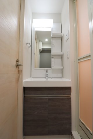 ジェノヴィア西川口Ⅱ0502号室 洗面