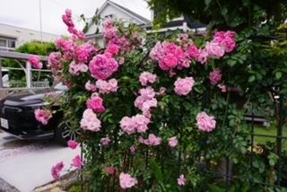 国立市谷保戸建 駐車場