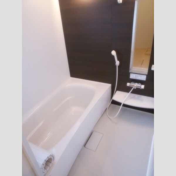 アンジュール203号室 バスルーム