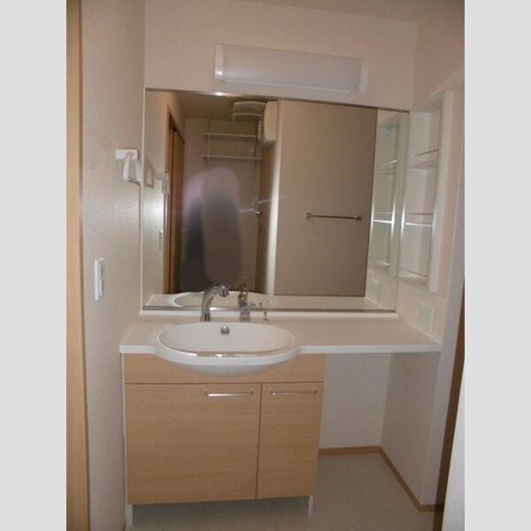 ペイサージュ宮前205号室 洗髪洗面化粧台
