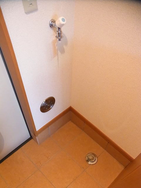 ガーデンハイツ岸根公園Ａ棟・Ｂ棟A101号室 室内洗濯機置場　※現況優先