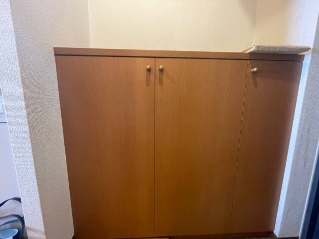 セントパレス錦糸町 玄関