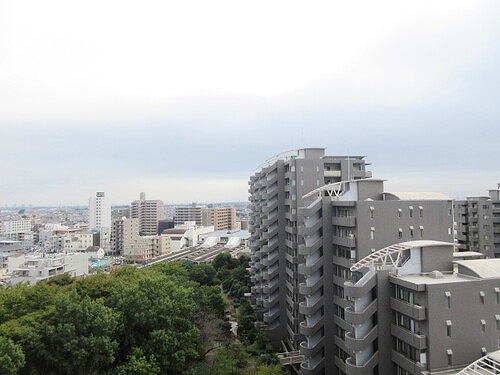 アイムふじみ野タワー東館11階 眺望