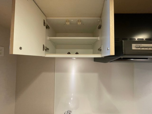 DIPS大山熊野町1202号室 キッチン