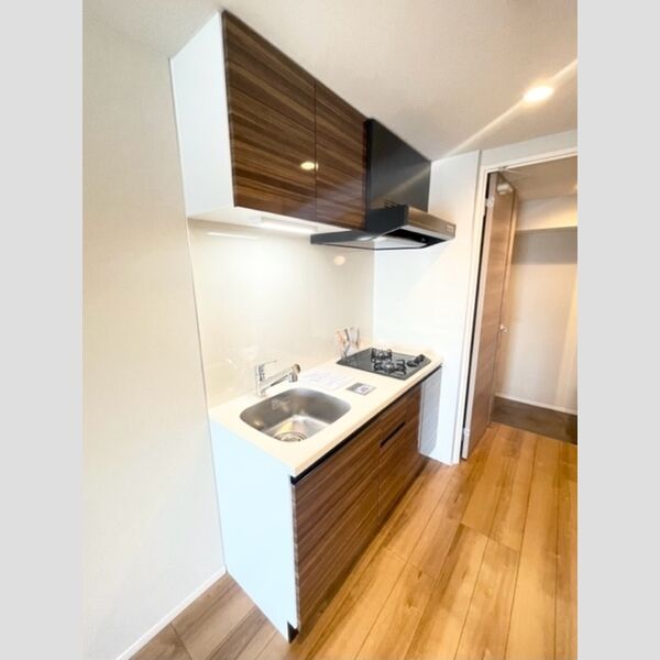 ロイジェント山王0801号室 キッチン