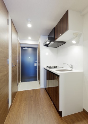 DIPS南六郷2205号室 キッチン