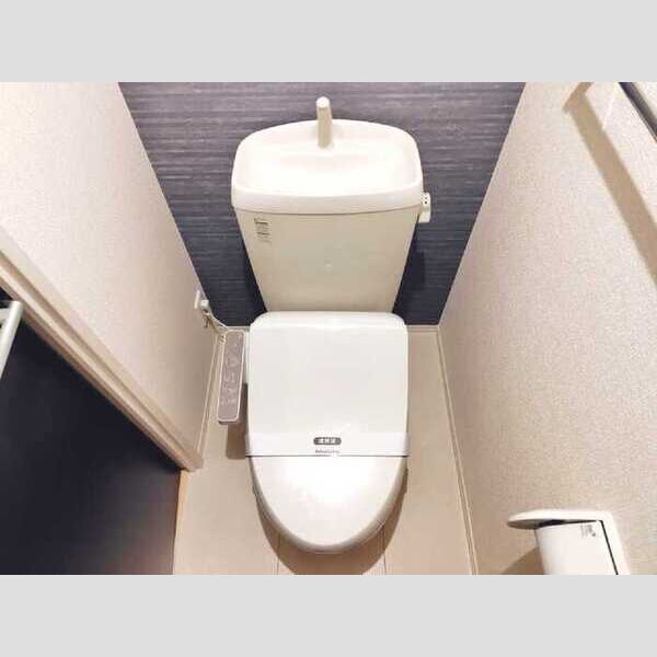 ラ・テール　ドゥ302号室 トイレ