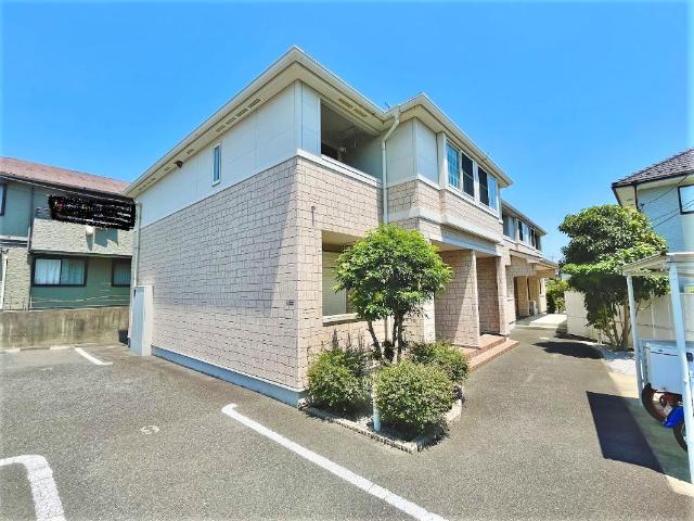 ゼルコバ・セラータ 外観写真（昼）