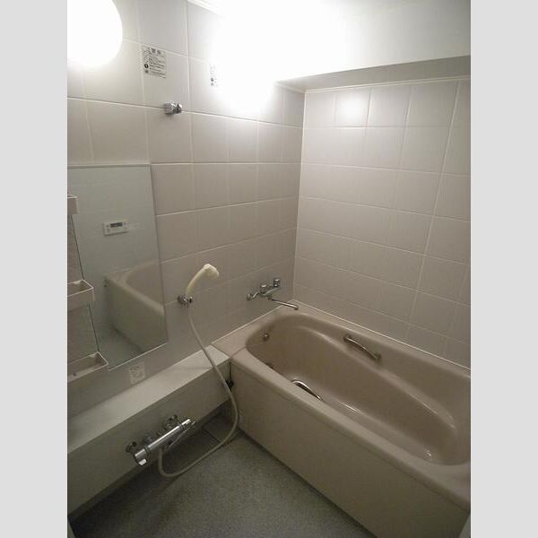 イイダアネックスⅤ203号室 部屋その他