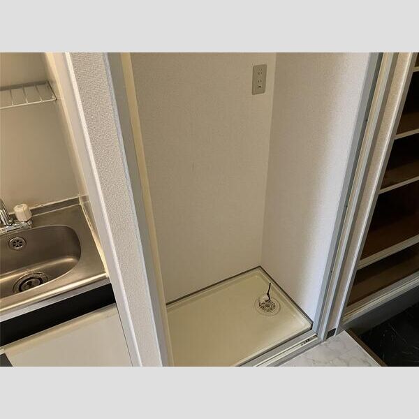 S-FORT錦糸町306号室 洗面