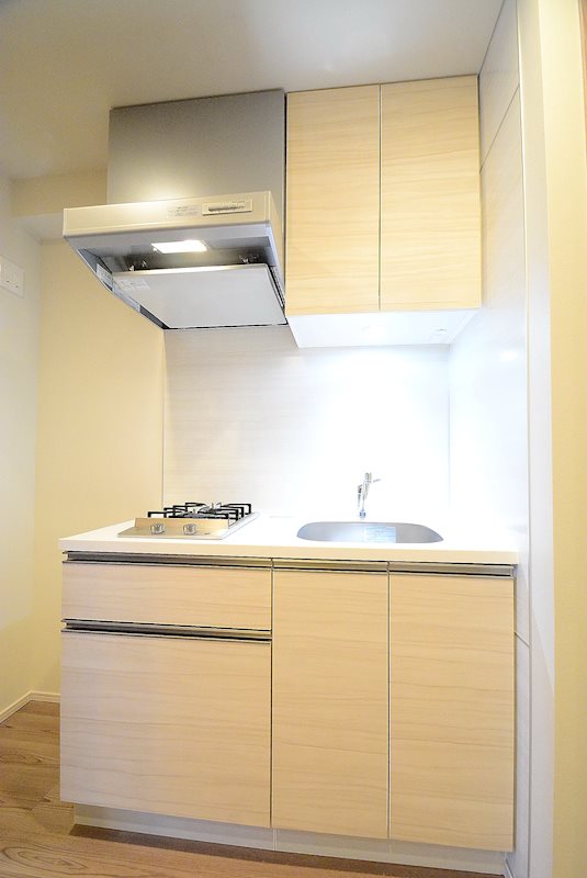 ステージグランデ八王子Ⅱ9階 ※カラータイプ異なります。