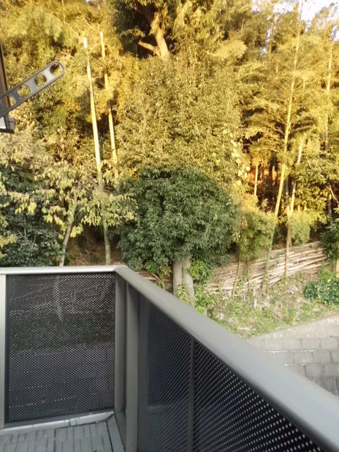 エスペランサ菊名Ｃ・Ｄ・Ｅ・Ｆ バルコニー