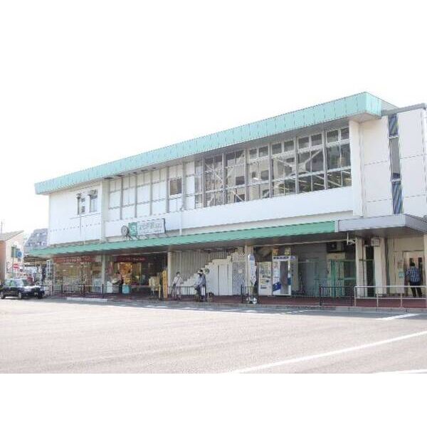 ジュネパレス松戸第880103号室 周辺