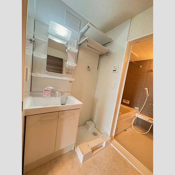 シャルマンドミール桜が岡　B202号室 洗髪洗面化粧台