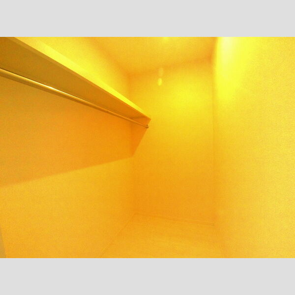 maison楓Ⅲ ウォークインクローゼット