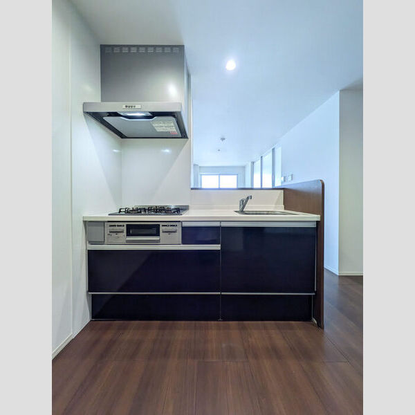 エクセレント ヒルズ303号室 システムキッチン