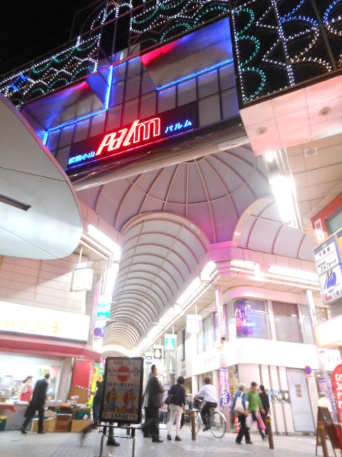 ガーラ・ヒルズ不動前 【その他】武蔵小山商店街パルムまで760ｍ