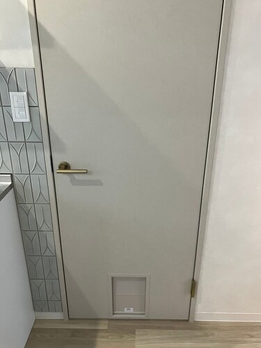 墨田区京島３丁目戸建て 洗面所前の扉