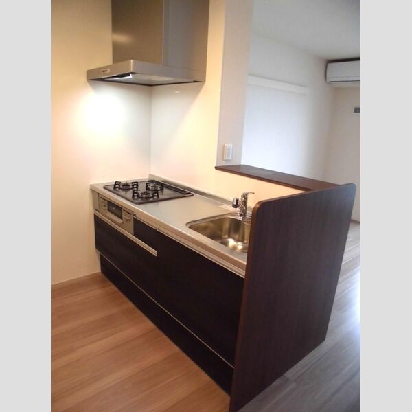 ブラウンヒルズ301号室 対面式のシステムキッチン♪