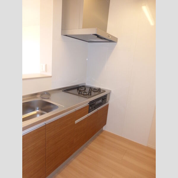 ヴィラグランデⅡ208号室 システムキッチン