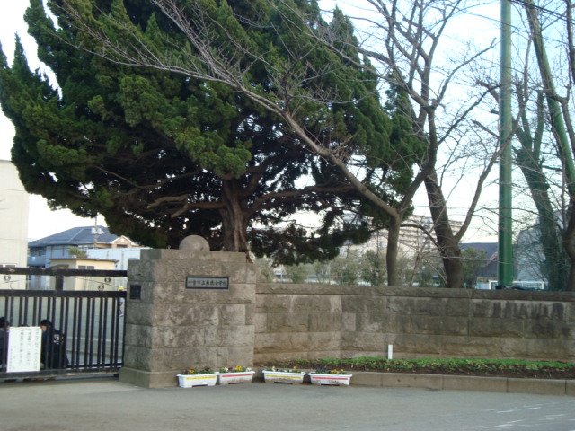 クレストール蘇我 千葉市立蘇我小学校まで1,492ｍ