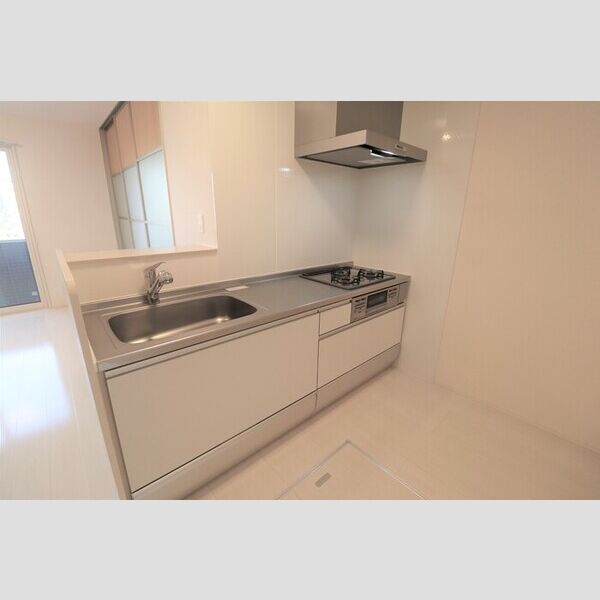 ロイジェントパークス レイクタウン Ⅲ　H108号室 キッチン