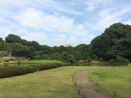 サンパレス田端壱番館 【公園】六義園まで926ｍ