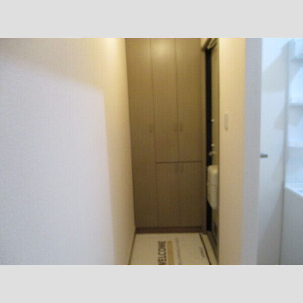 ドリームマウンテン　C101号室 玄関