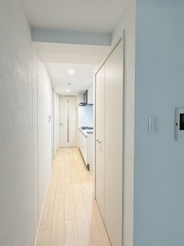 スカイコートリュクス品川大崎101号室 内観