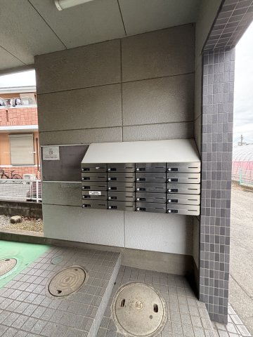 グレースつつじヶ丘弐番館0205号室 ENT/郵便受け