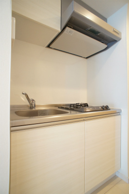 リブリ・シャトー・デ・ザール Ⅴ3階 キッチン