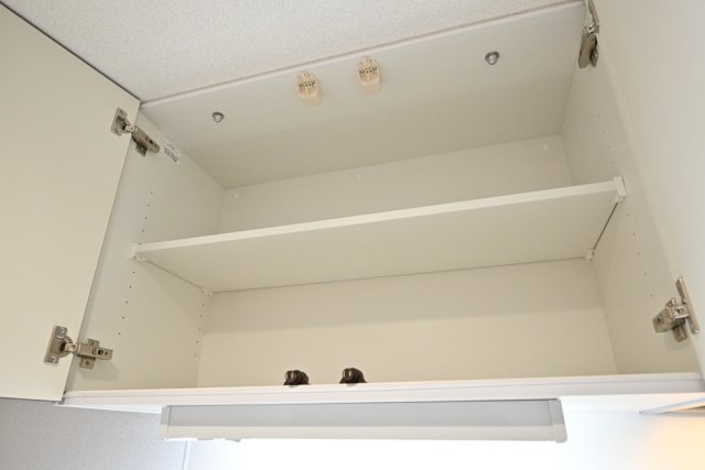 エルミ上落合4階 キッチン