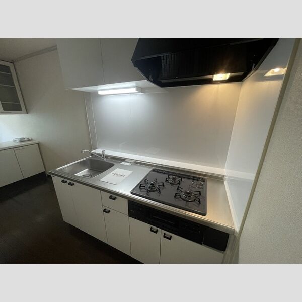 ビューパレス　A キッチン