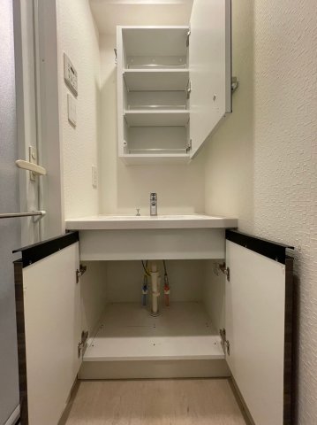DIPS金町レジデンス1105号室 洗面