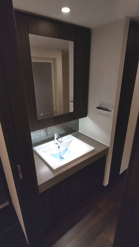 レジディア日本橋馬喰町Ⅲ10階 洗面