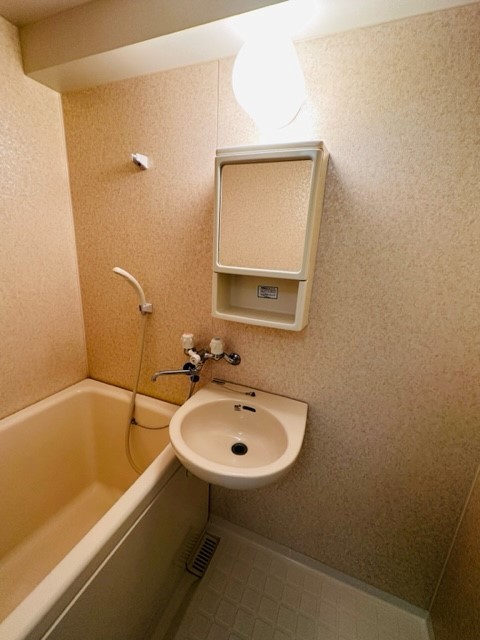 エクセレント 洗面