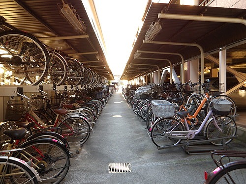 ライオンズマンション千葉グランドタワー7階 駐輪場　※2025年12月の写真