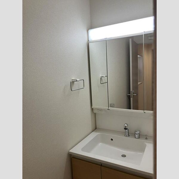 マイホームネクスト桜区新開　1号棟 洗面