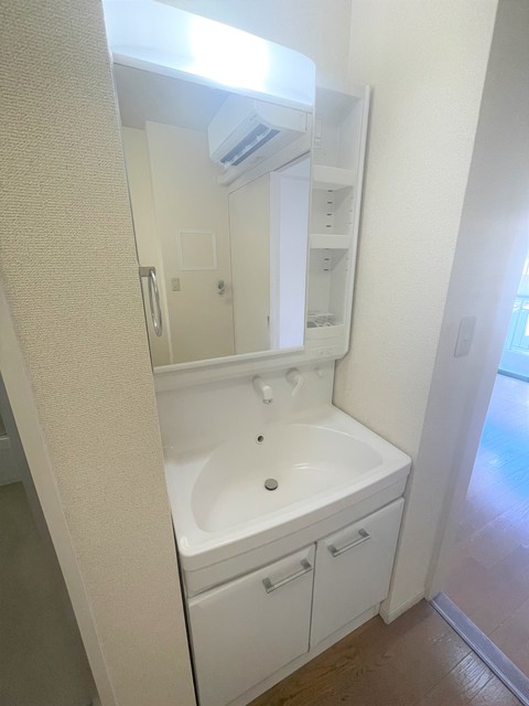 Ｄｅｅｒ　Ｃｏｕｒｔ0202号室 洗面