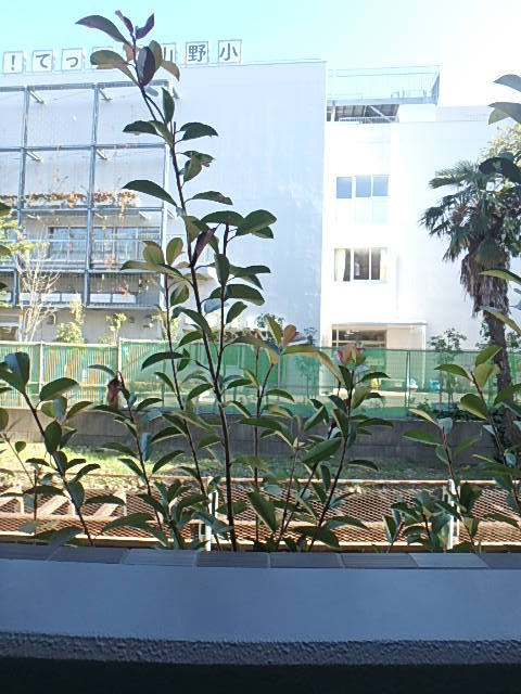 ガーラ・ヴィスタ祖師ヶ谷大蔵1階 展望